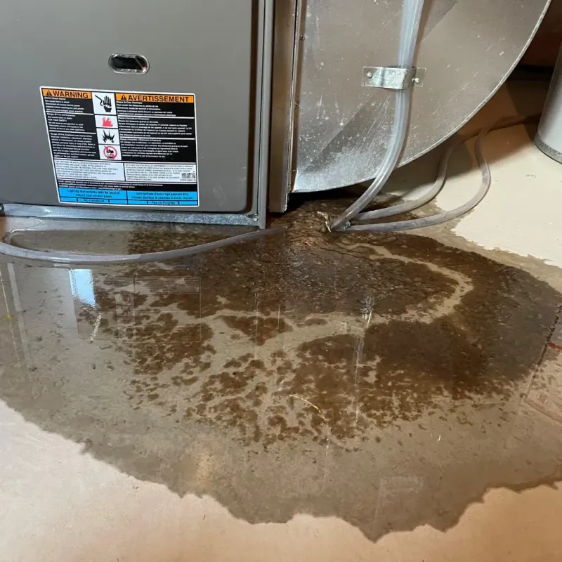 Appliance Leak Cleanup in Elkhorn, CA